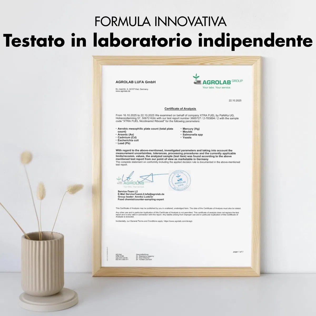 Complesso per il fegato - 180 capsule ad alto dosaggio - con cardo mariano (80% silimarina)