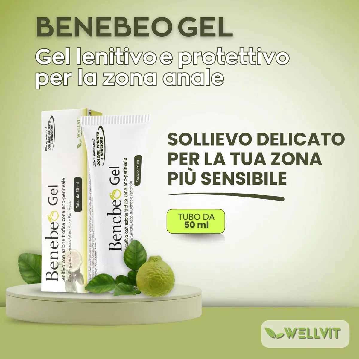 Benebeo Gel Wellvit - Crema Anale, Crema Intima Lenitiva Prurito Bruciore Zona Ano-Perineale con Acido Ialuronico e Pantenolo, Sollievo per Fastidio e Sensibilità, pH Fisiologico - 50 ml Made in Italy