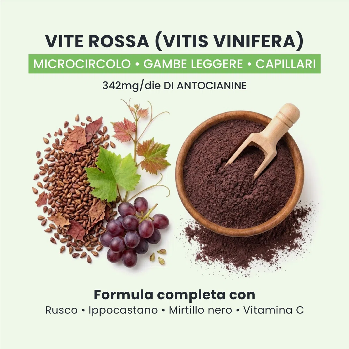 Light Legs+ - Integratore Gambe Leggere & Microcircolo - Proantocianidine 342 mg - 30 giorni (60 caps) - Vegan, senza glutine e lattosio, aroma pesca - Rusco, Ippocastano, Mirtillo