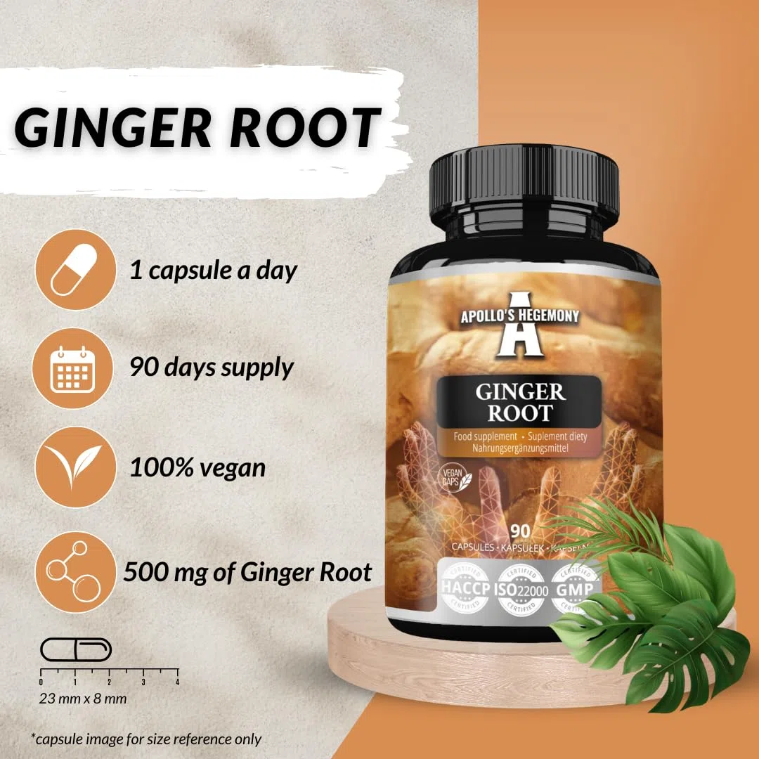 Radice di zenzero 500 mg, estratto contenente il 5% di gingeroli, 90 capsule vegane, fornitura di 3 mesi - da Apollo's Hegemony