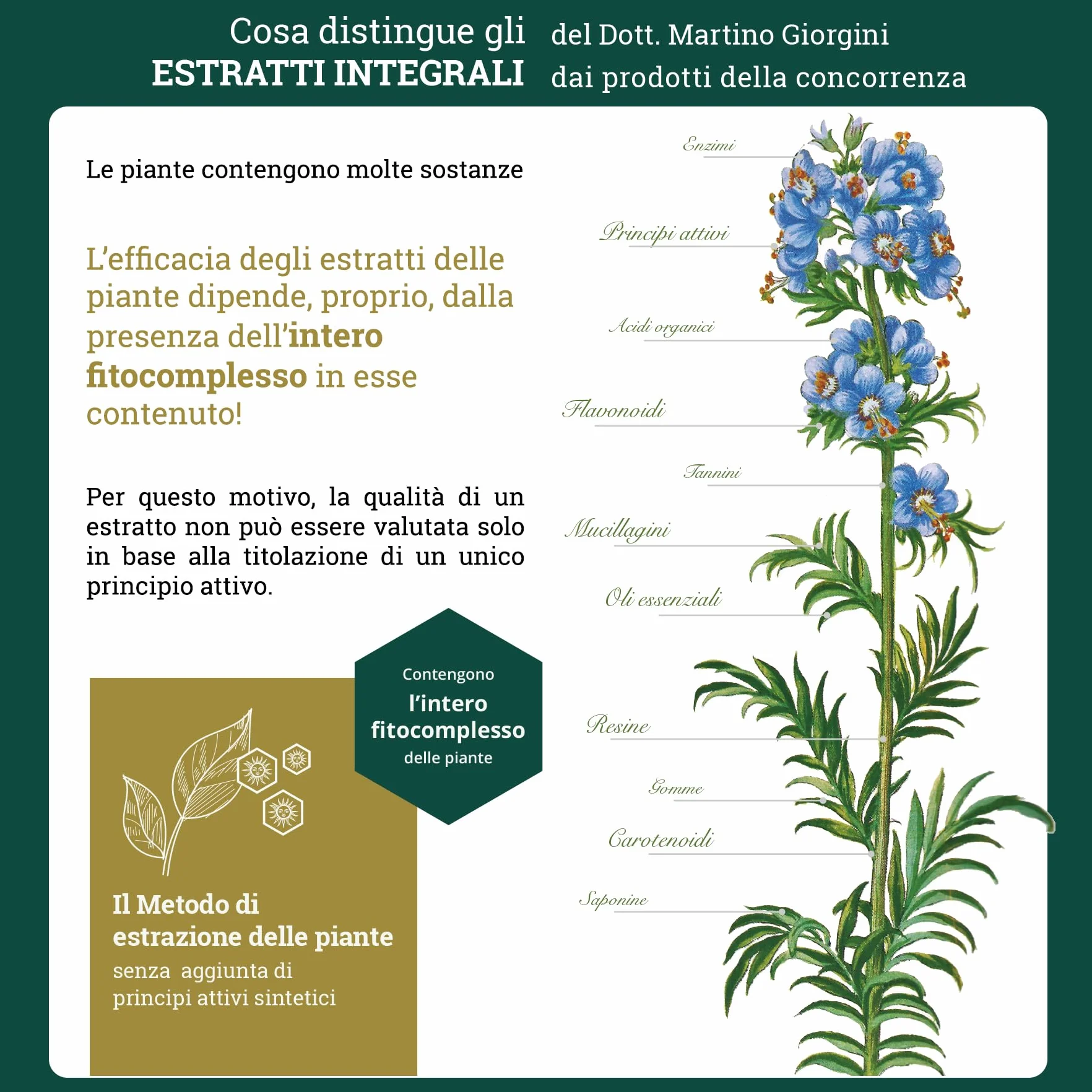 Dr. Giorgini Integratore Alimentare, Drosera Estratto Integrale Liquido Analcoolico - 200 ml