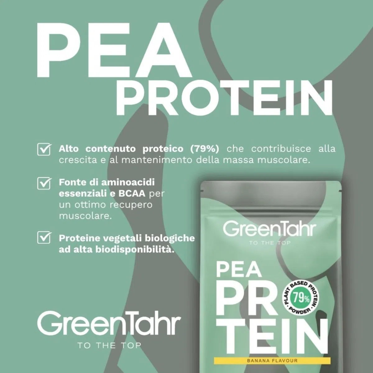 Green Tahr Proteine di Pisello in Polvere Vegane Bio Gusto Banana 750g. 79% Proteine Vegetali per Massa Muscolare Senza Zucchero, Edulcoranti, Lattosio né Glutine