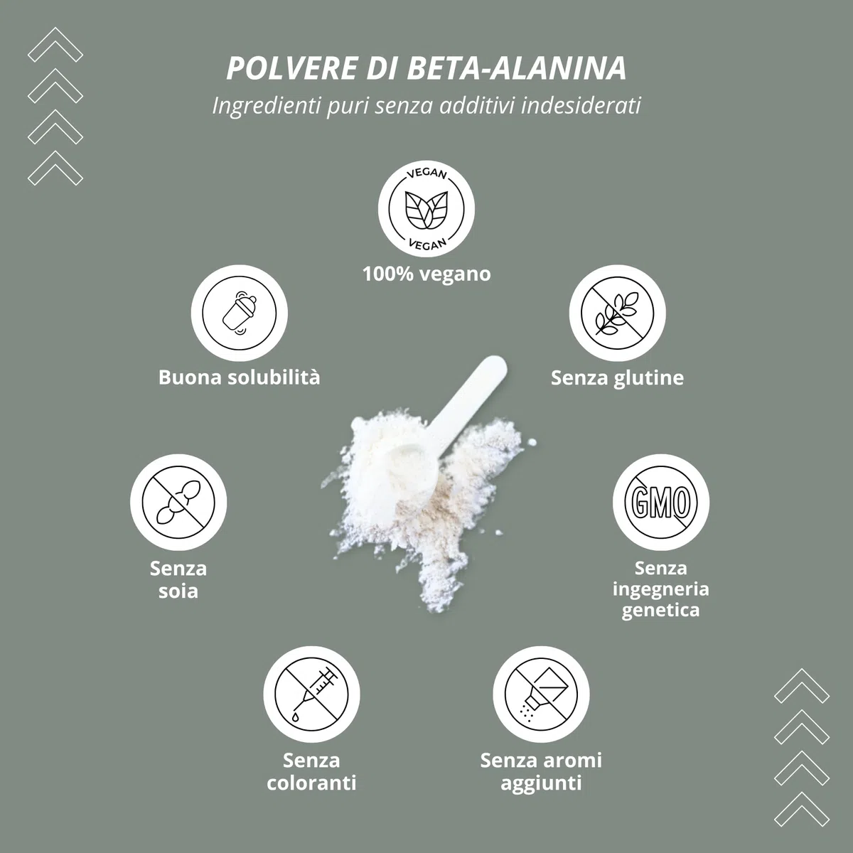 Nutri + Beta Alanina in Polvere 1 kg - vegana pura ad alto Dosaggio e senza Additivi - Booster pre-Allenamento - ß Alanine vegan Powder - Energizzante Sport 1000 g
