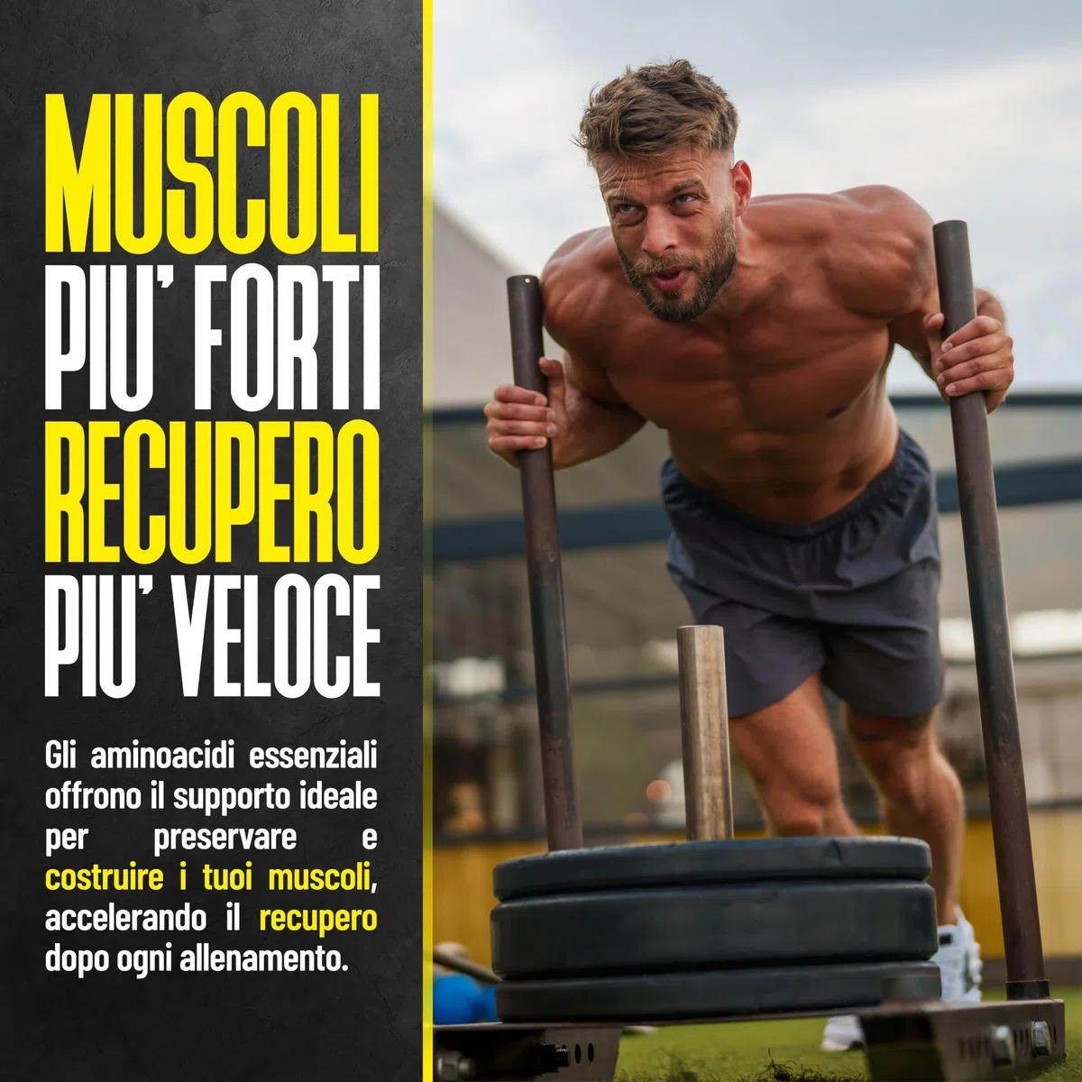 ProAction Aminoacidi Essenziali | EAA Aminoacidi Essenziali in Compresse | Recupero Muscolare, Crescita & Energia | Con BCAA e Vitamine B1, B2, B5 | Senza Zuccheri, Glutine e Lattosio | 240 Compresse