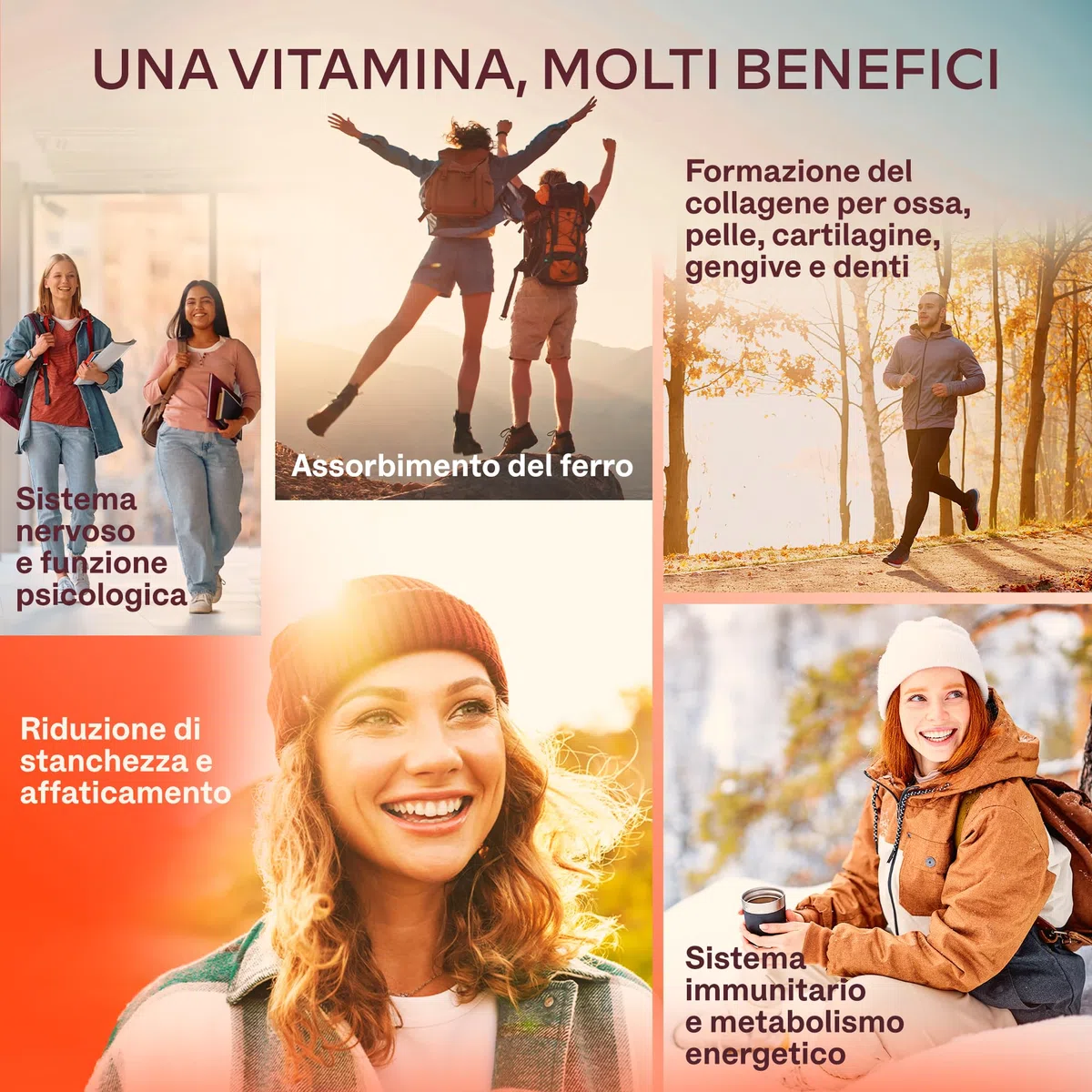 Vitamina C 1000mg Vegan - Integratore Vitamina C Naturale Alto Assorbimento con Bioflavonoidi, Rosa Canina, Acerola - 1000 Vitamina C Pura per dose - Vitamin C Difese Immunitarie 180 Capsule