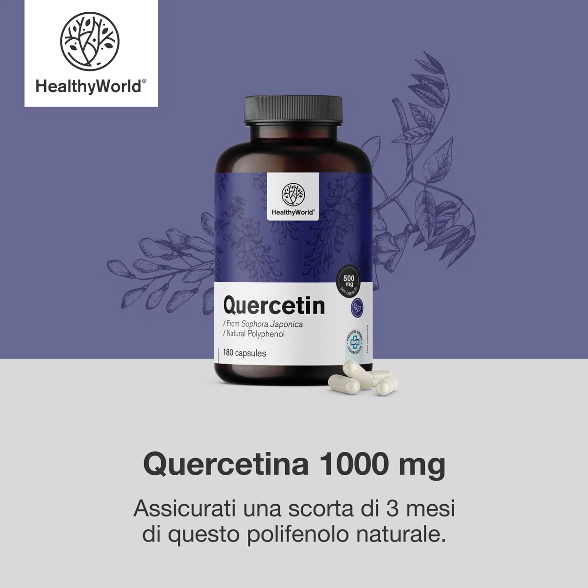 HealthyWorld Quercetina 1000 mg – 180 Capsule Vegetali – Dall'estratto dei fiori di sophora del Giappone – Alto Contenuto di 1000 mg per Capsula – Senza OGM e allergeni – Scorta per 3 mesi