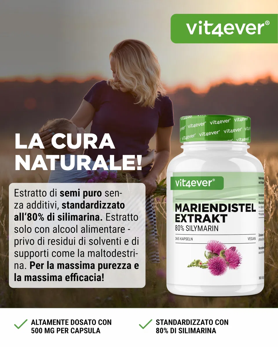 Estratto di cardo mariano 365 capsule da 500 mg ciascuna - contenuto di silimarina all'80% - fornitura per 12 mesi - dosaggio elevato - vegano