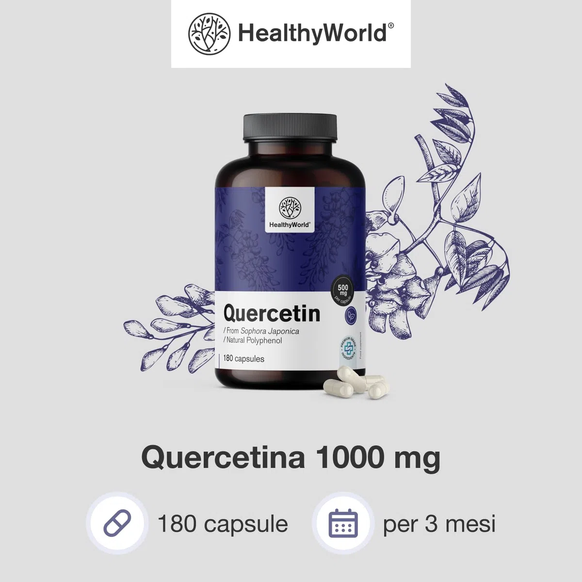 HealthyWorld Quercetina 1000 mg – 180 Capsule Vegetali – Dall'estratto dei fiori di sophora del Giappone – Alto Contenuto di 1000 mg per Capsula – Senza OGM e allergeni – Scorta per 3 mesi