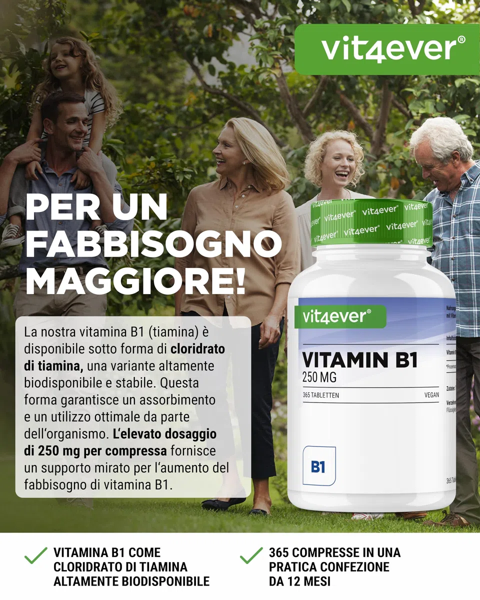 Vitamina B1 (Tiamina) - 250 mg - 365 compresse - Premium: tiamina cloridrato - Elevata biodisponibilità - Fornitura per 12 mesi - Senza additivi indesiderati - Vegan