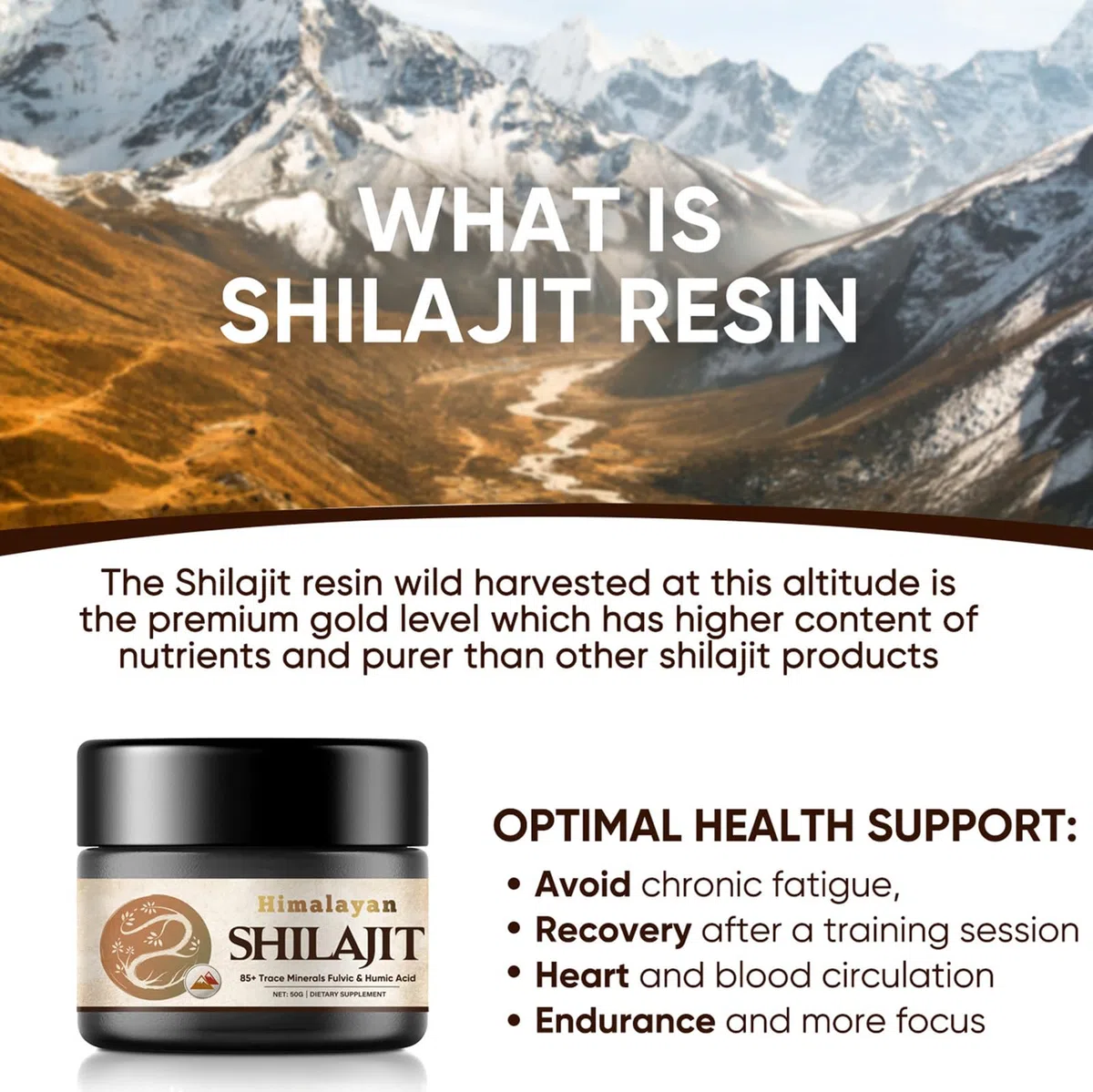 Shilajit-Himalayano-Puro-Organica, 50g-Shilajit-Organico con 85+ Oligominerali e Acido Fulvico, Shilajit Organico Naturale di Potenza
