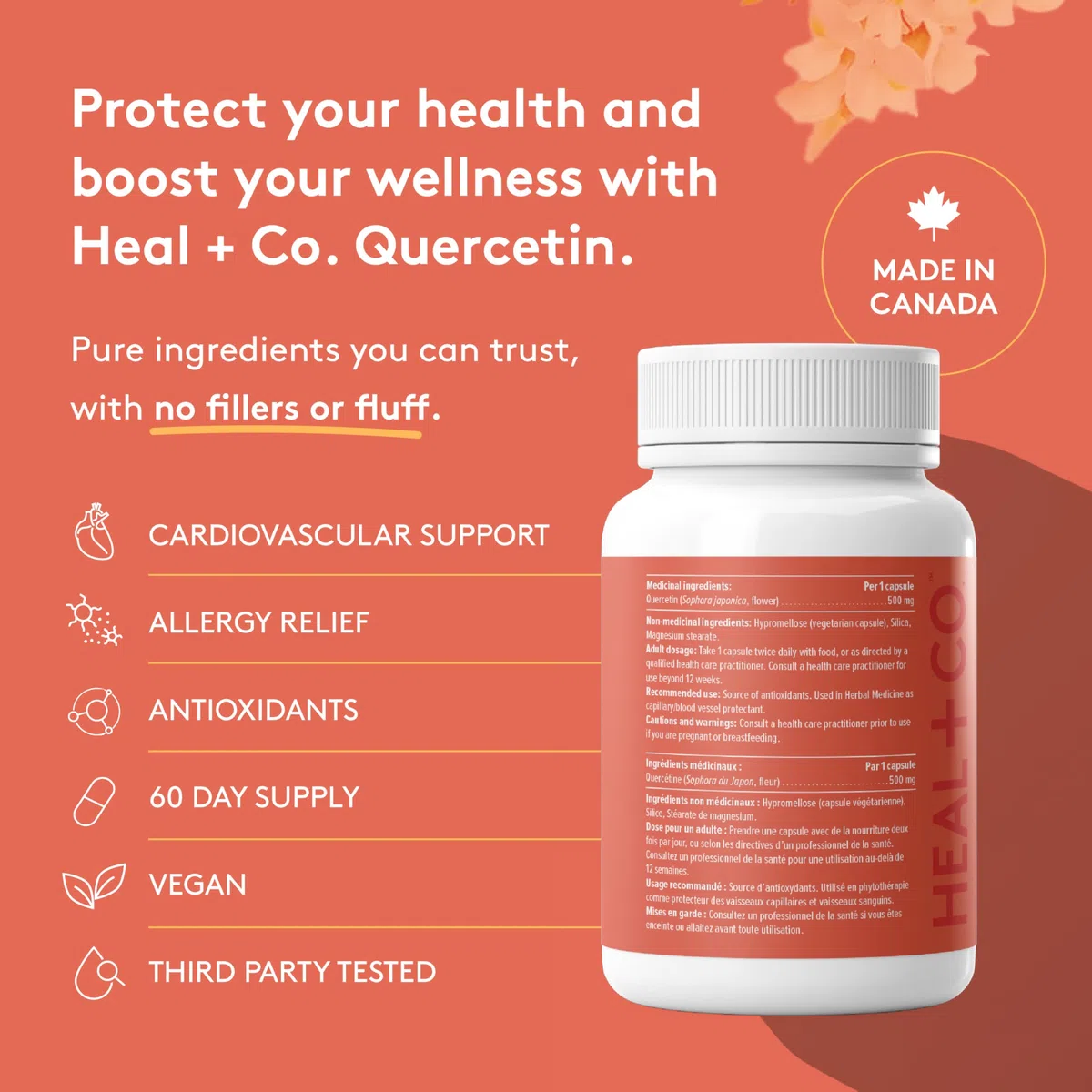 HEAL + CO. Quercetin Supplement | High Potency, 1000mg per serving | Antioxidant | 120 x 500 mg Capsules