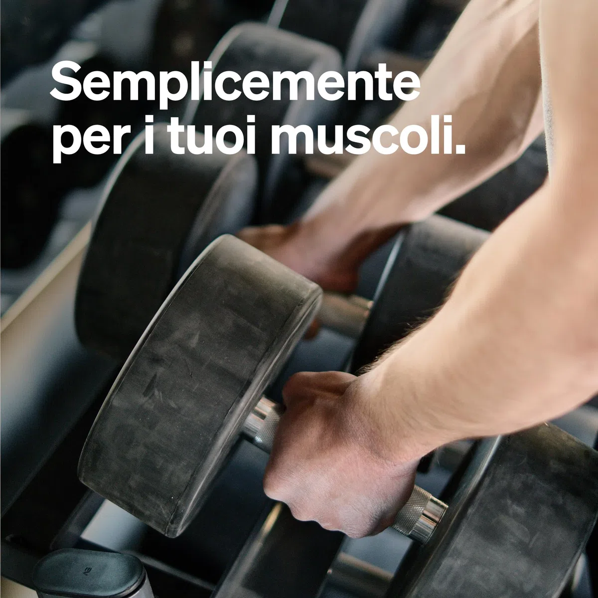 BCAA – 360 capsule in piccolo formato – amminoacidi essenziali leucina, isoleucina e valina – vegano, ad alto dosaggio, senza additivi – aminoacidi ramificati – testato in laboratorio
