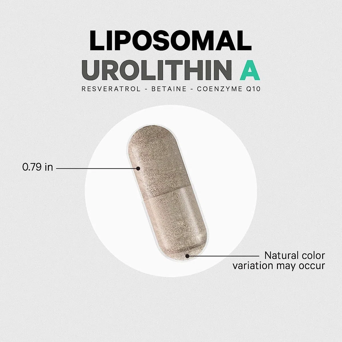 Urolitina A liposomiale - Invecchiamento sano e antiossidazione - Vegano, non OGM, senza soia