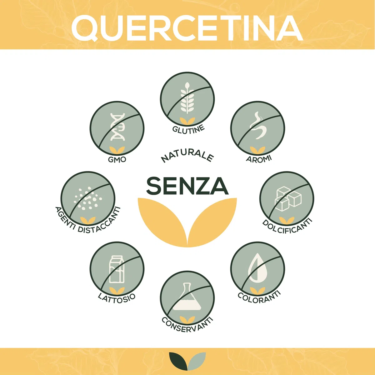 Quercetina 500 mg per capsula | 90 capsule | Altamente dosata | Da estratto di fiori di cordicella giapponese | Buona biodisponibilità e tollerabilità | Vegan