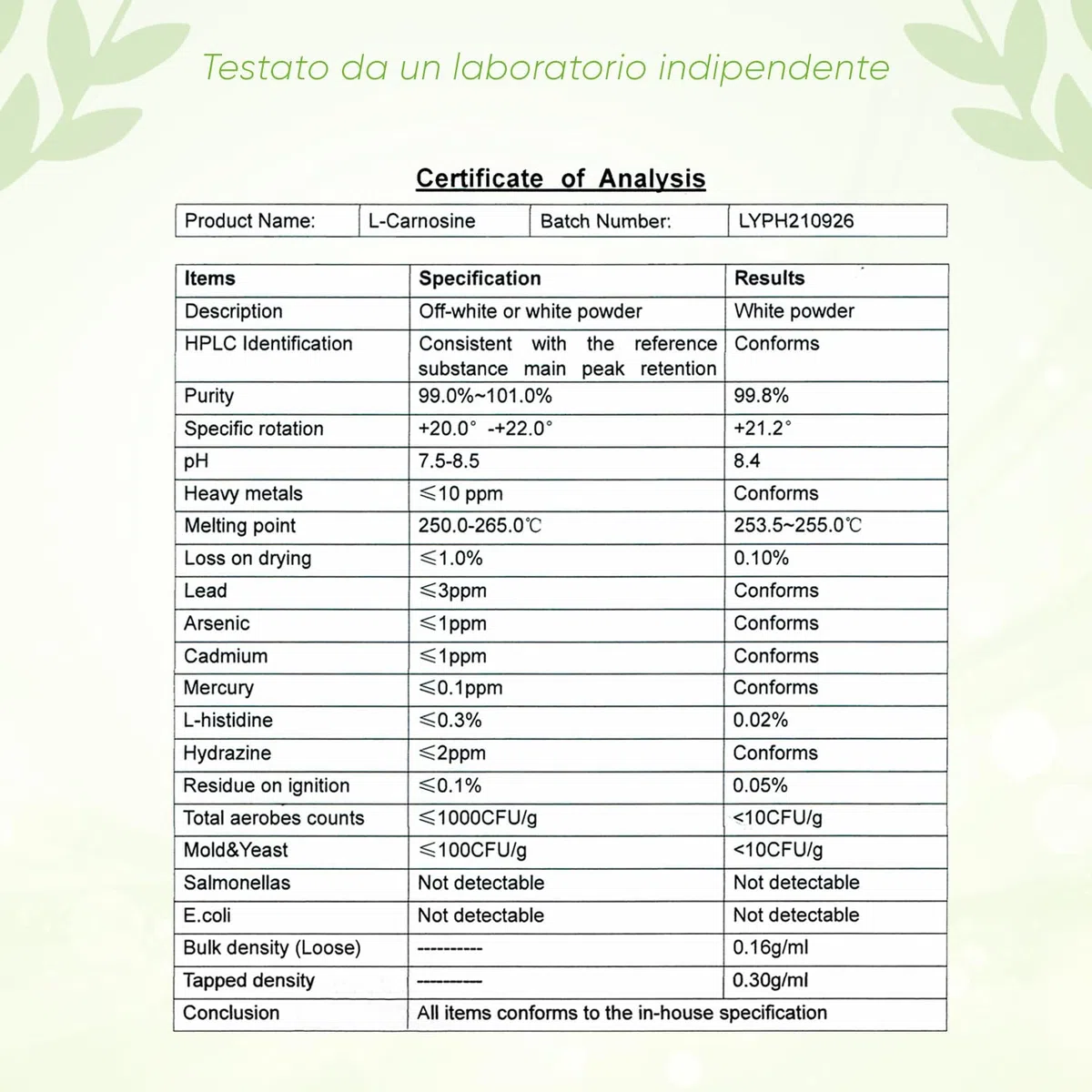 L-Carnosina 100 Capsule | 1000 mg per dose giornaliera | Inclusa scatola porta pillole | 100% Vegano | Alta dose e senza additivi | Alta biodisponibilità | Testato in laboratorio