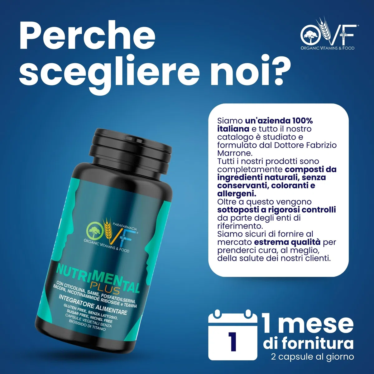 OVF Nutrimental Plus 500mg di Citicolina 60 cps, Integratore Studio Memoria e Concentrazione, contro la Stanchezza Mentale con Fosfatidilserina e Bacopa - per Ragazzi, Universitari, Studenti e Adulti