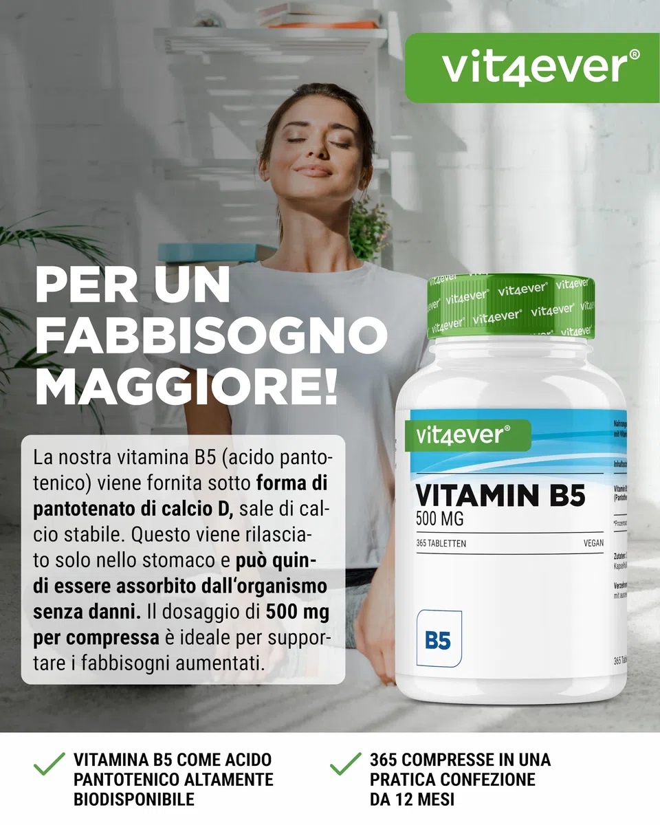 vit4ever Vitamina B5 (Acido Pantotenico) - 500 mg - 365 Compresse - Scorta per 1 anno - Alto Dosaggio - Senza Additivi Indesiderati - Vegano