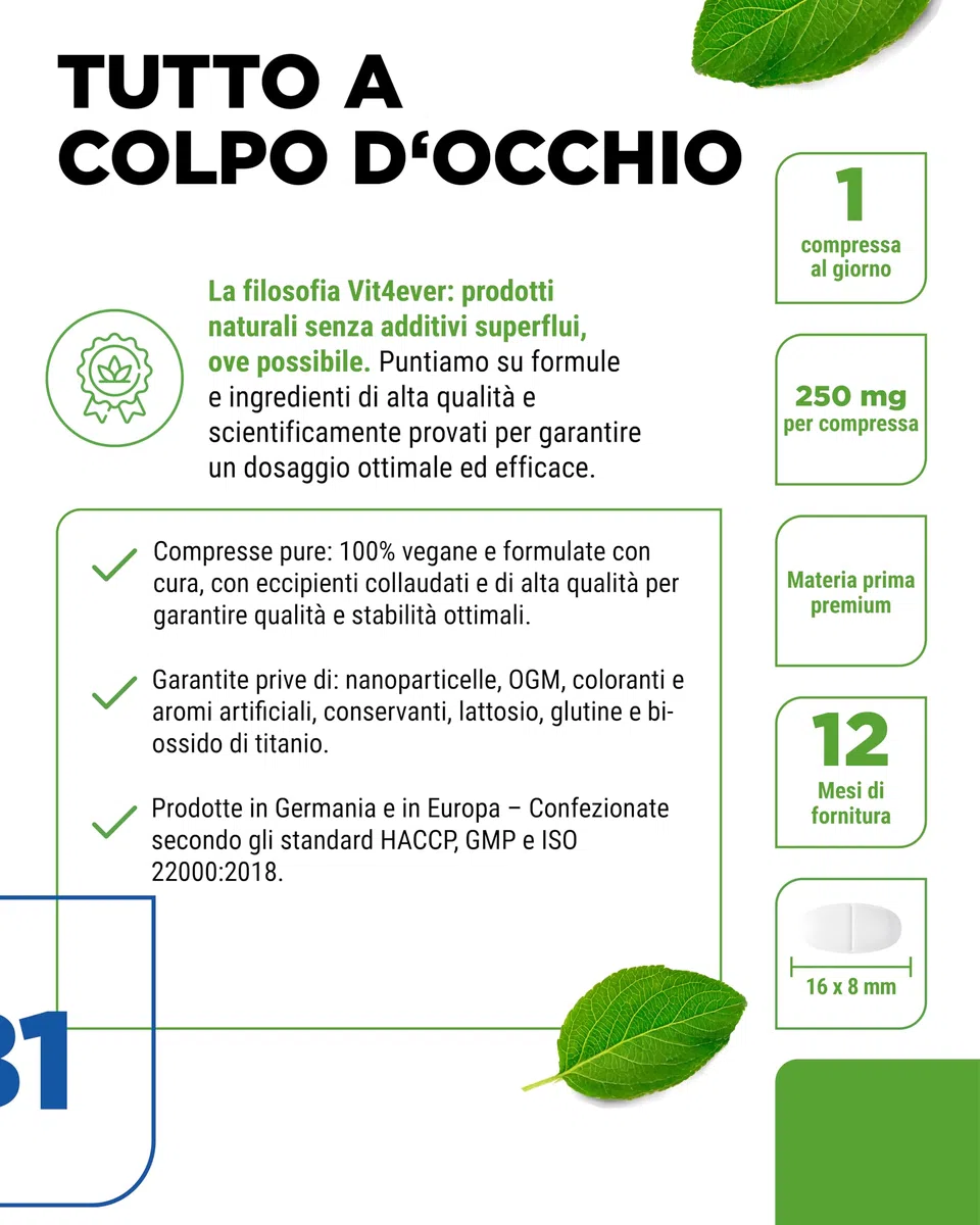 Vitamina B1 (Tiamina) - 250 mg - 365 compresse - Premium: tiamina cloridrato - Elevata biodisponibilità - Fornitura per 12 mesi - Senza additivi indesiderati - Vegan