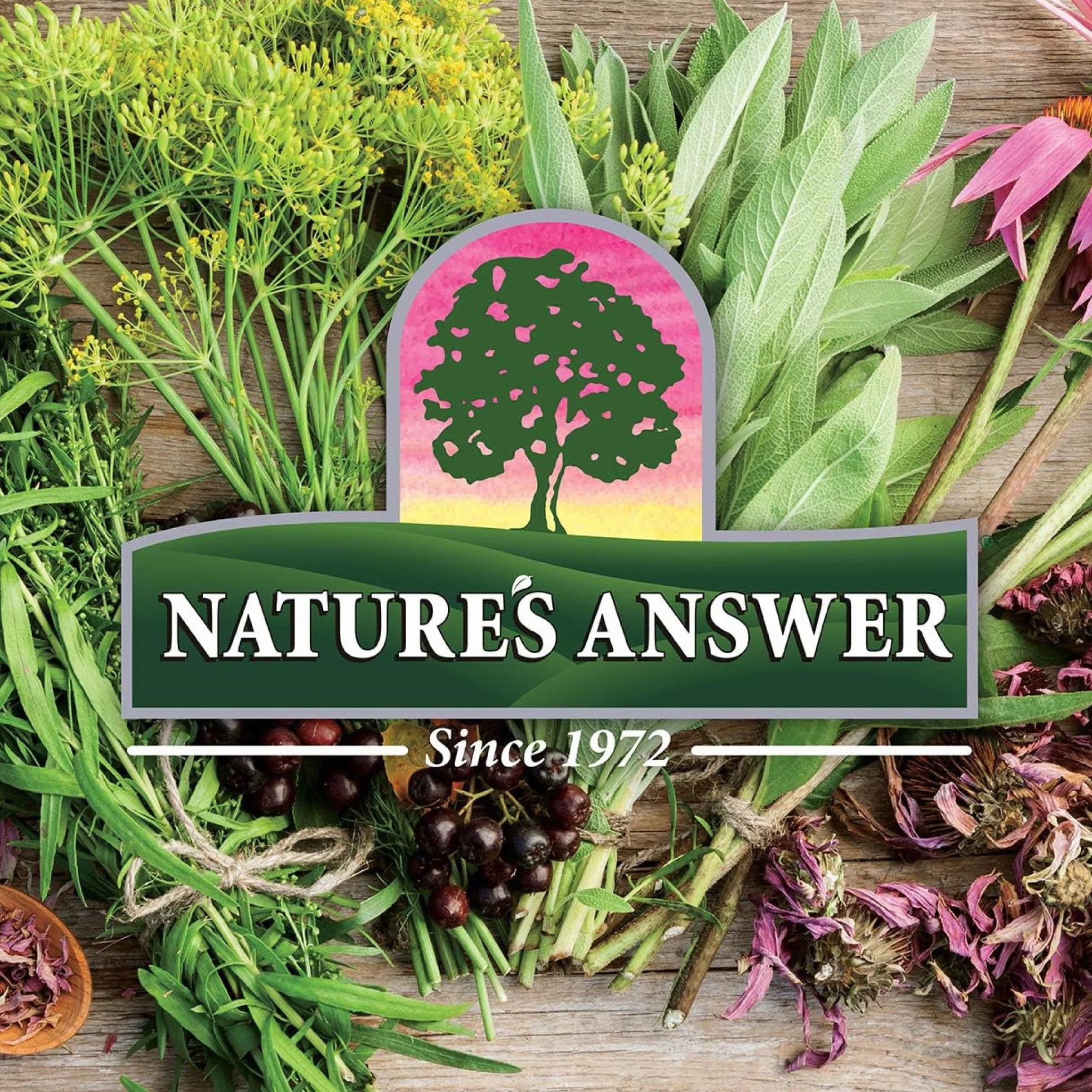 Natural's Answer Exinecia Goldenseal - 1k mg - 60 ml