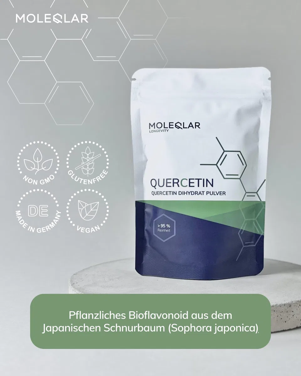 MoleQlar Quercetina polvere di alta purezza – 60 g di quercetina diidrato vegana Premium – 400 mg per porzione – con cucchiaio dosatore – Bioflavonoide vegetale del jap