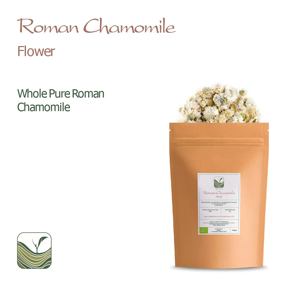 Camomilla Romana Fiori Tè - Anthemis Nobilis - 350g