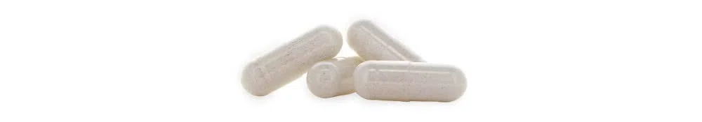 GINSENG BIO * 200 mg / 90 capsule * Titolato al 15% di ginsenosidi totali * Cardiovascolare, Energia, Equilibrio emozionale, Vitalità