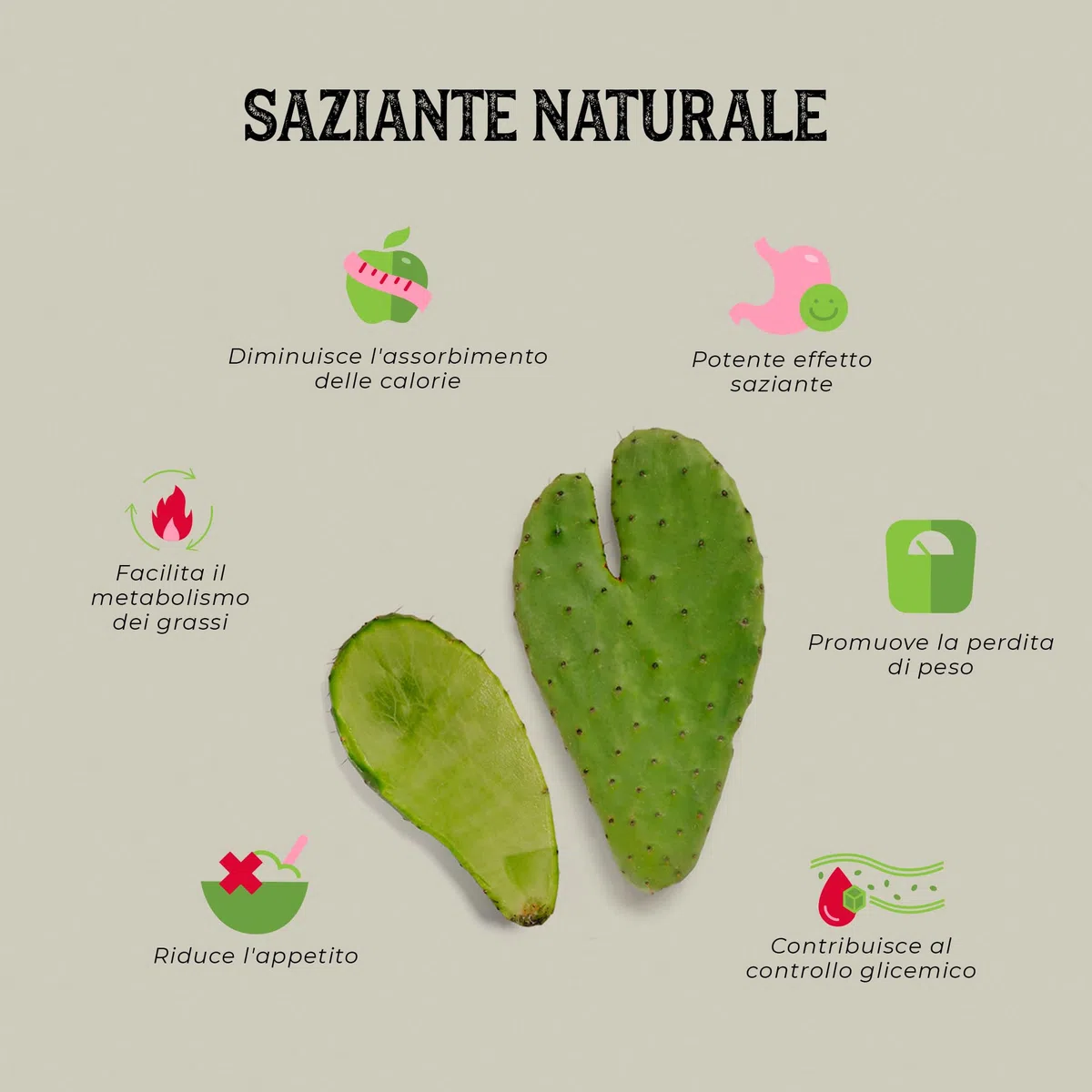 NOPAL BIOLOGICO * 470 mg / 180 capsule * Cardiovascolare (glucosa), Digestione, Peso (bruciagrassi, dimagrimento, fame)