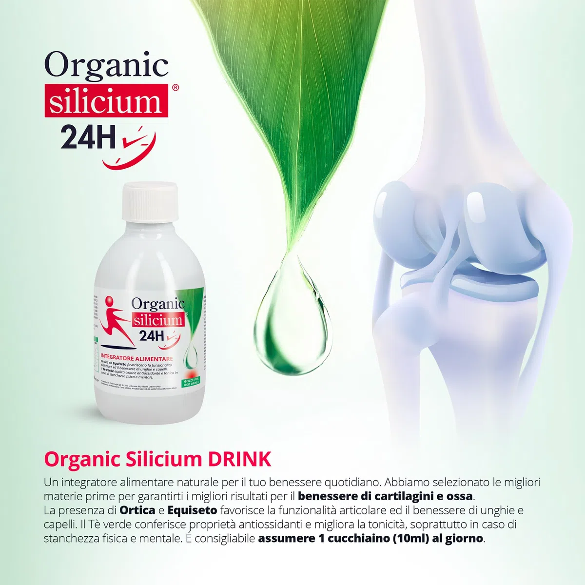 ORGANIC SILICIUM 24H | Drink 250ml, Integratore Orale con Ortica ed Equiseto per il Benessere Articolare e Muscolare