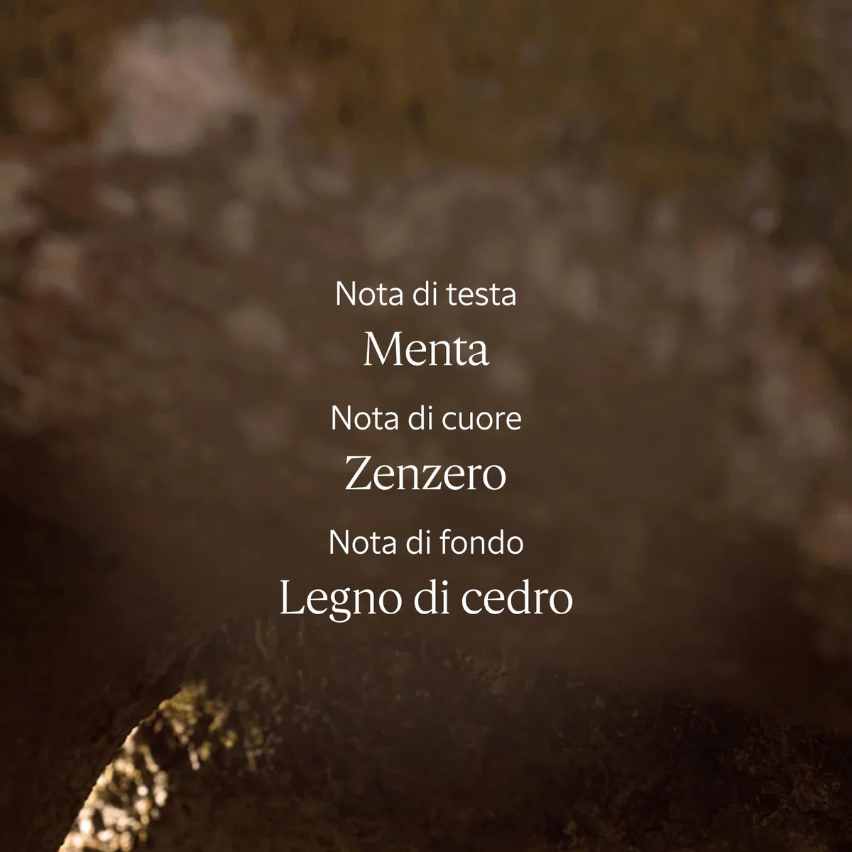 L'OCCITANE - Gel Crema dopobarba Cap Cédrat - 75 ml - Idrata e riduce le irritazioni - Prodotto in Francia