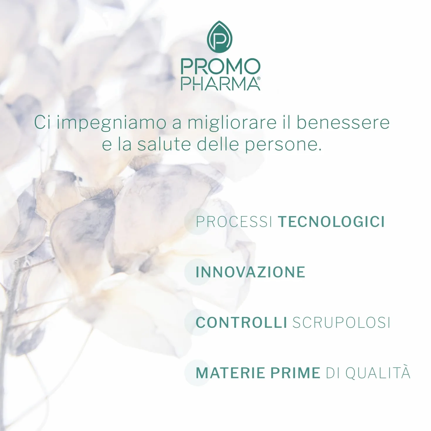 Quercetina Advance - Integratore Alimentare - Con quercetina, Vitamina C, Bromelina, Zinco e Vitamina D - Per le difese immunitarie - 30 cps