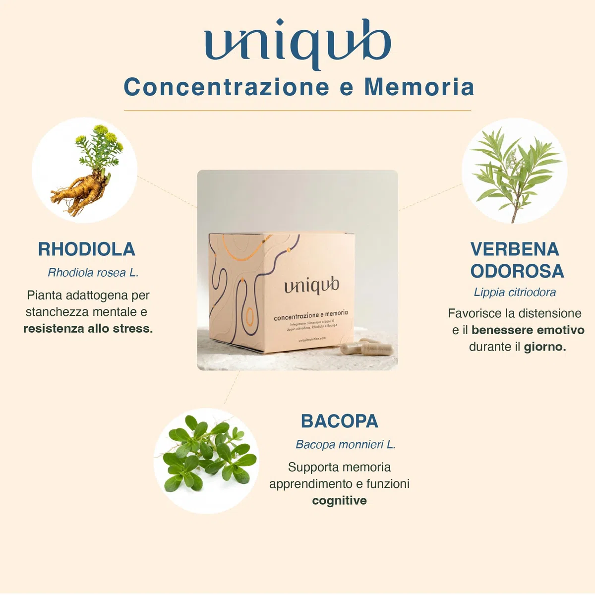 Integratore Concentrazione e Memoria Migliora l'umore Con Rhodiola Rosea Bacopa Monnieri Lippia Citriodora 60 capsule Vegetali 100% Naturale Uniqub