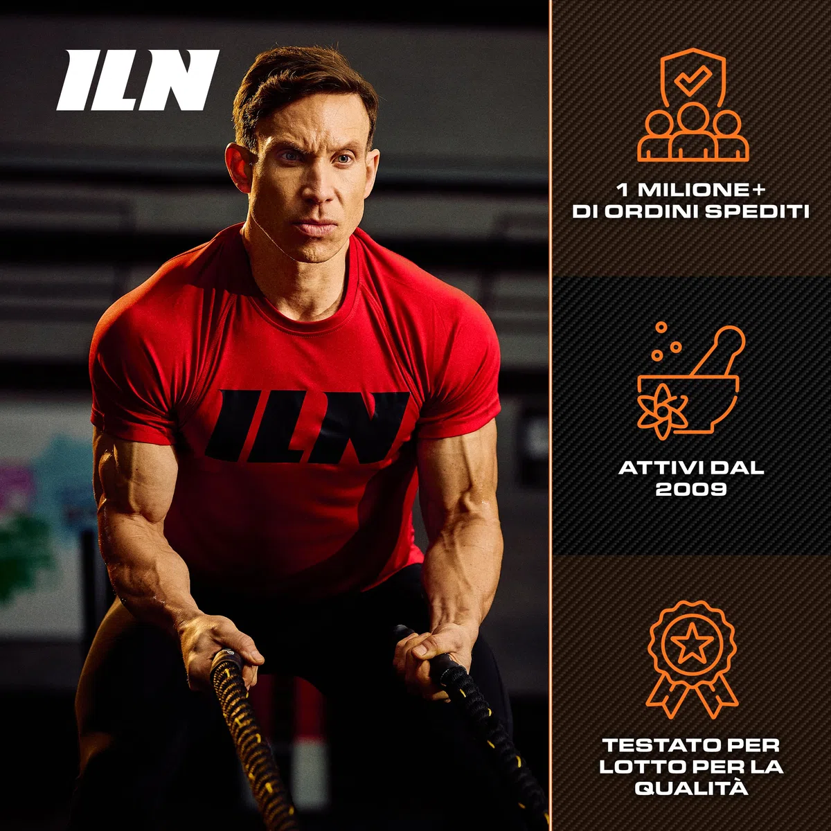 ZM6 - Integratore zinco magnesio - zinco integratore alto dosaggio con vitamina B6 - per normale funzione muscolare - 360 capsule vegane
