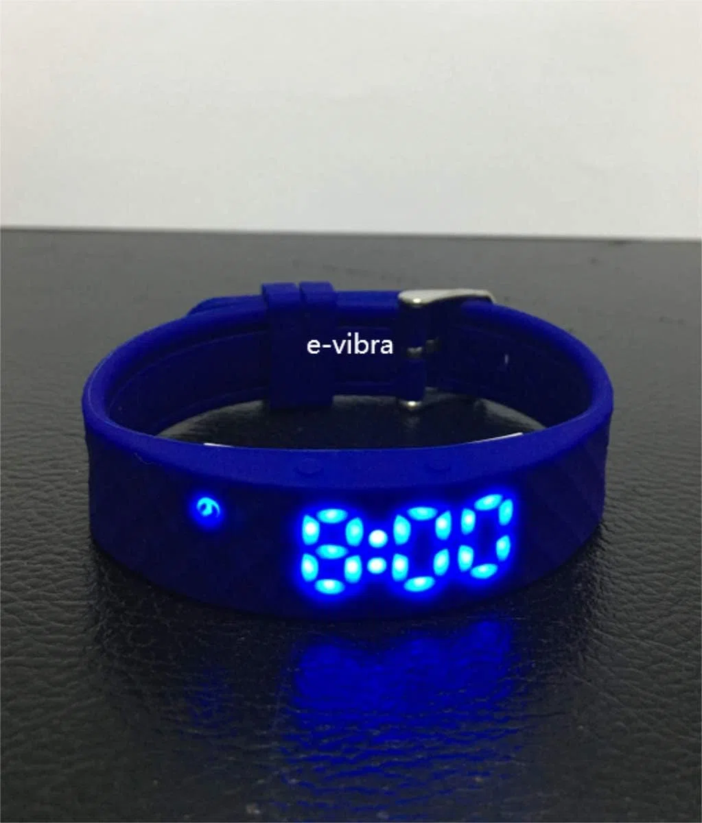 Orologio da allenamento con vasino, silenzioso, con timer e 15 allarmi giornalieri (Royal Blue - Large)