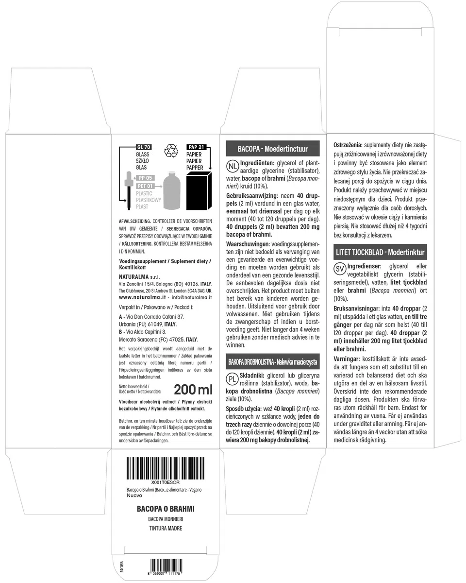 Bacopa o Brahmi (Bacopa monnieri) erba Tintura Madre analcoolica Naturalma - Estratto liquido gocce 200 ml - Integratore alimentare - Vegano