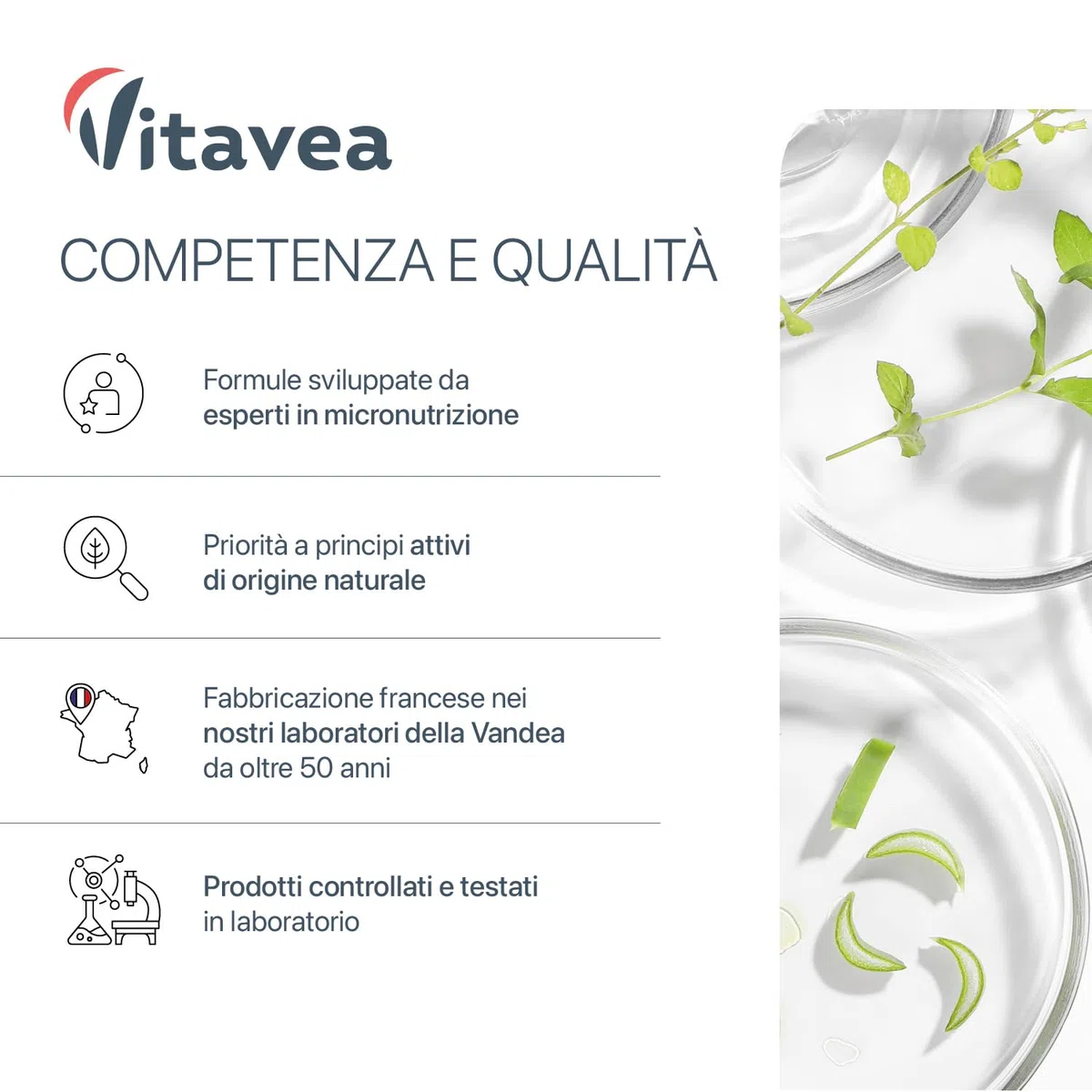 Cortisol Control – Integratore anti-stress e stanchezza – Ashwagandha, Rhodiola, Bacopa, L-teanina, Magnesio – 120 capsule vegan – Vitavea