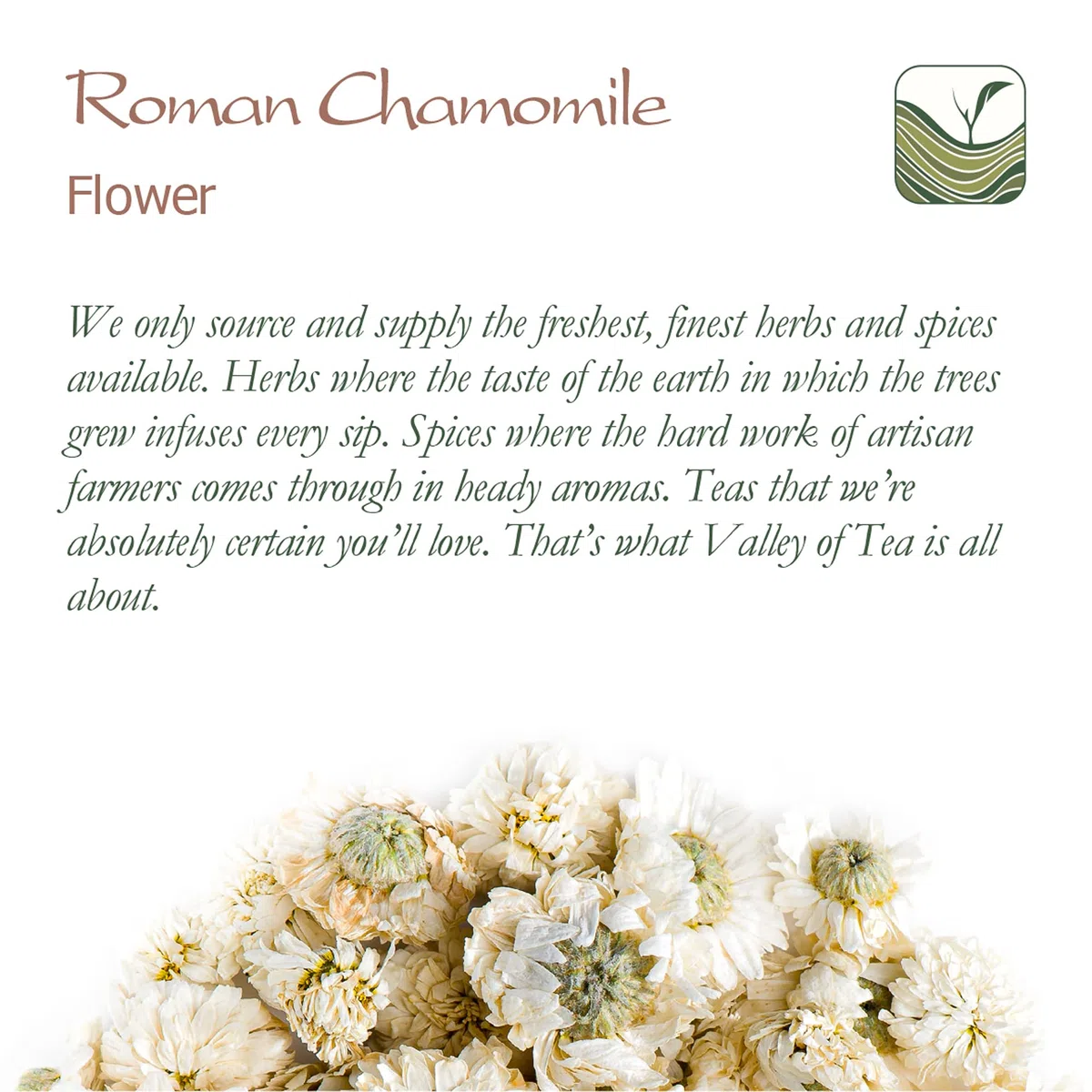 Camomilla Romana Fiori Tè - Anthemis Nobilis - 350g