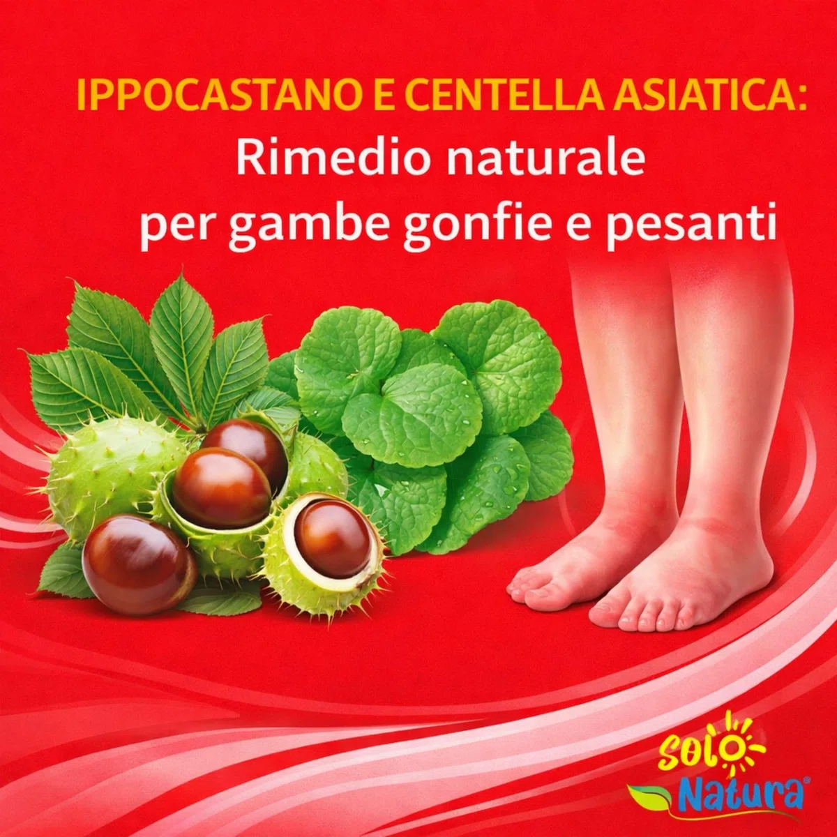 Solo Natura NEOAIMA – Integratore per Circolazione Gambe con MIrtillo Nero, Diosmina, Esperidina e Troxerutina, Supporto Microcircolo e Drenante contro Gambe Gonfie e Pesanti, 60 Compresse da 500 mg