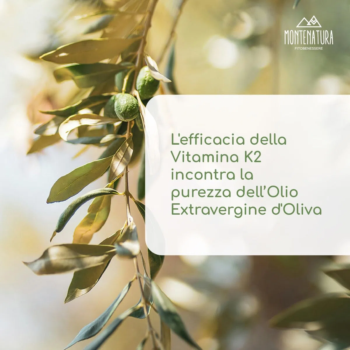 Extra K Vitamina K2 MK-7 Liquida in Gocce | Integratore Ossa. Alto Assorbimento in Olio Extravergine d' Oliva EVO Italiano | 100% Naturale, Vegetale, Vegano, Senza Glutine | 150 Dosi