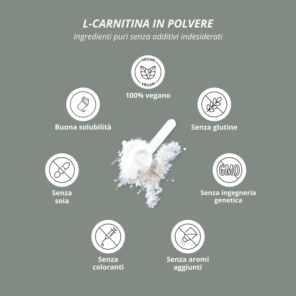 nutri + L-carnitina in Polvere - 100% Carnitina Tartrato vegan Pure Powder 250 g - 3000mg per Porzione - Acido tartarico senza Additivi