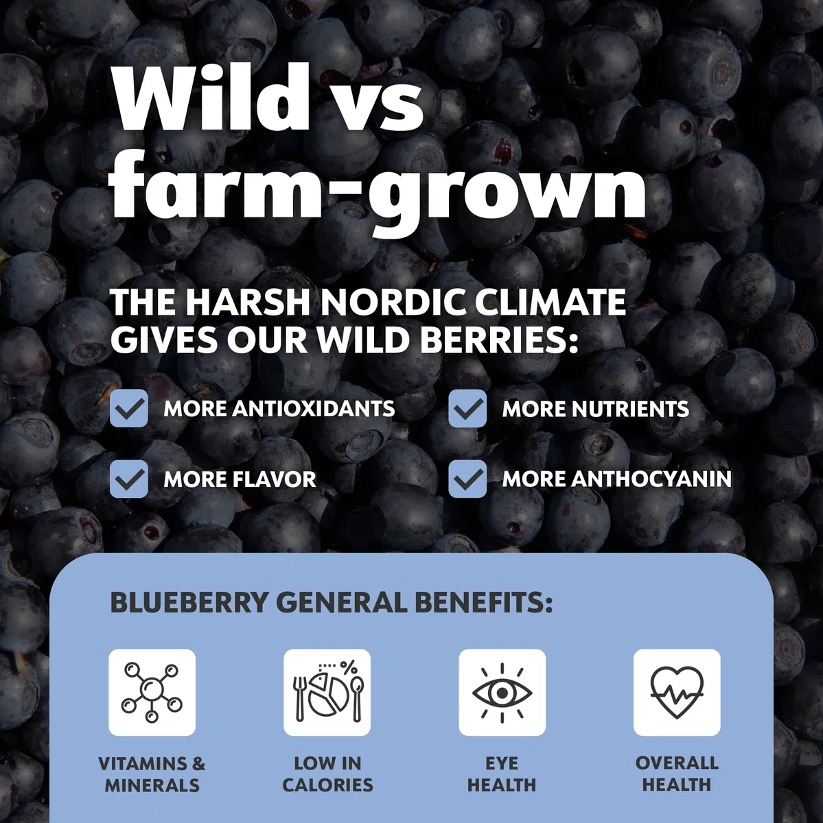 LOOV Polvere di mirtillo selvatico biologico - Scorta per 29 giorni, 171 g, ottima per frappé e colazione, liofilizzata, dall’Europa del Nord, senza zuccheri aggiunti