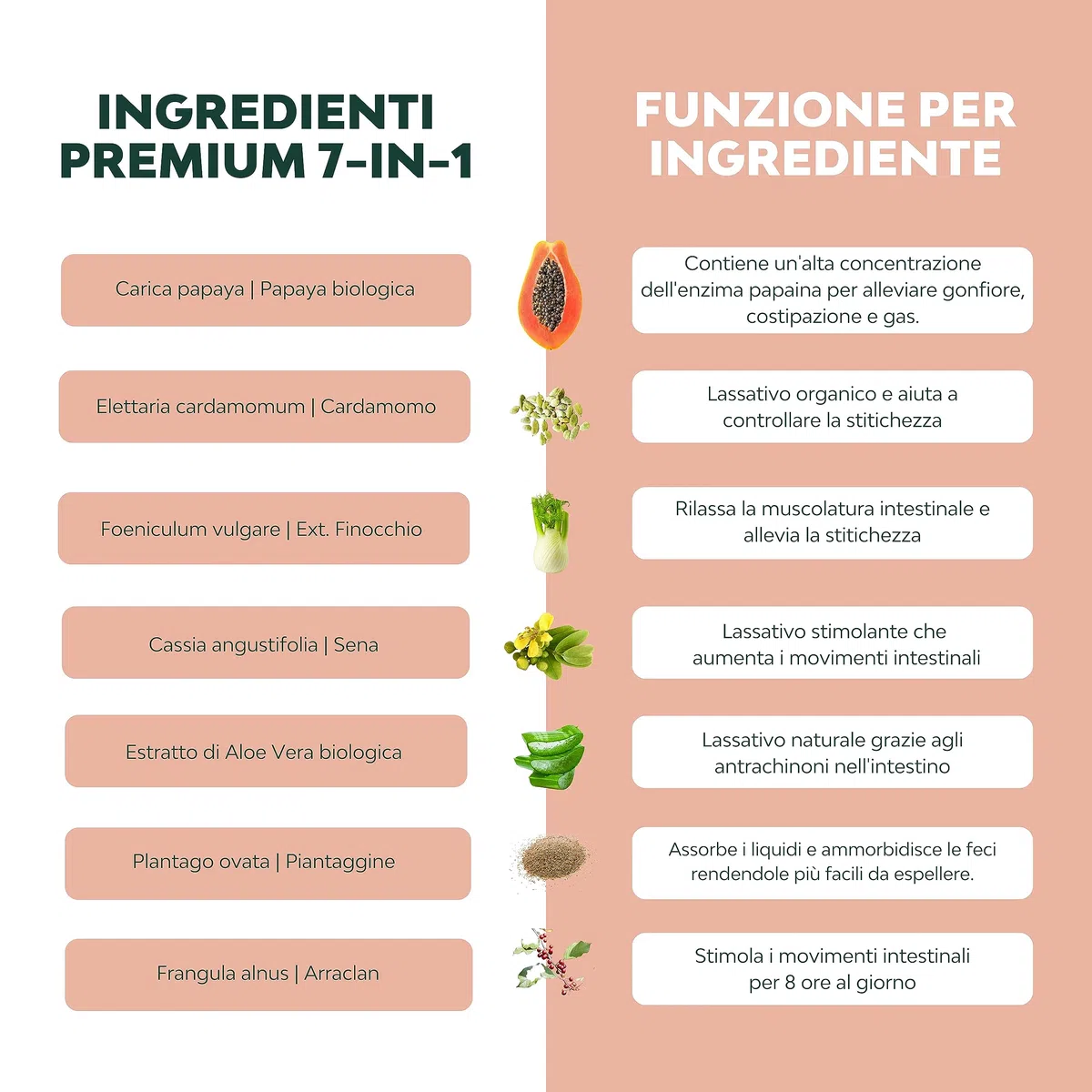 LAX+ Integratore Alimentare 2x Bottiglie con Senna, Papaya, Finocchio, Aloe e Piantaggine – 120 Capsule