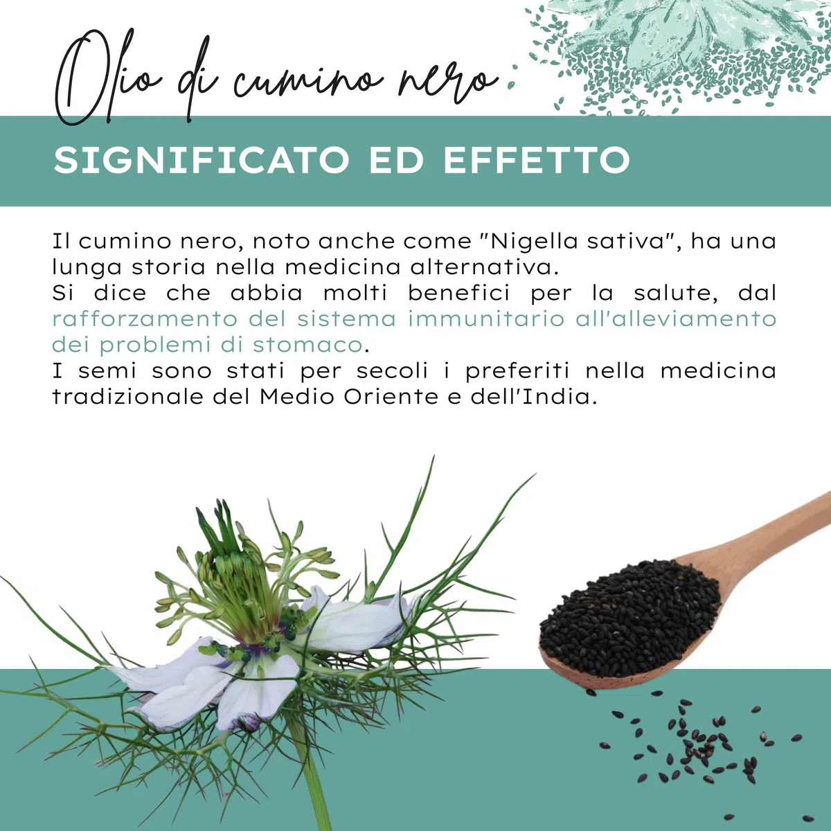 Olio di semi di cumino nero biologico - 180 capsule ad alto dosaggio / 500 mg di olio di semi di cumino nero biologico e 250 mg di acido linoleico per capsula/Vegano, certificato e sostenibile