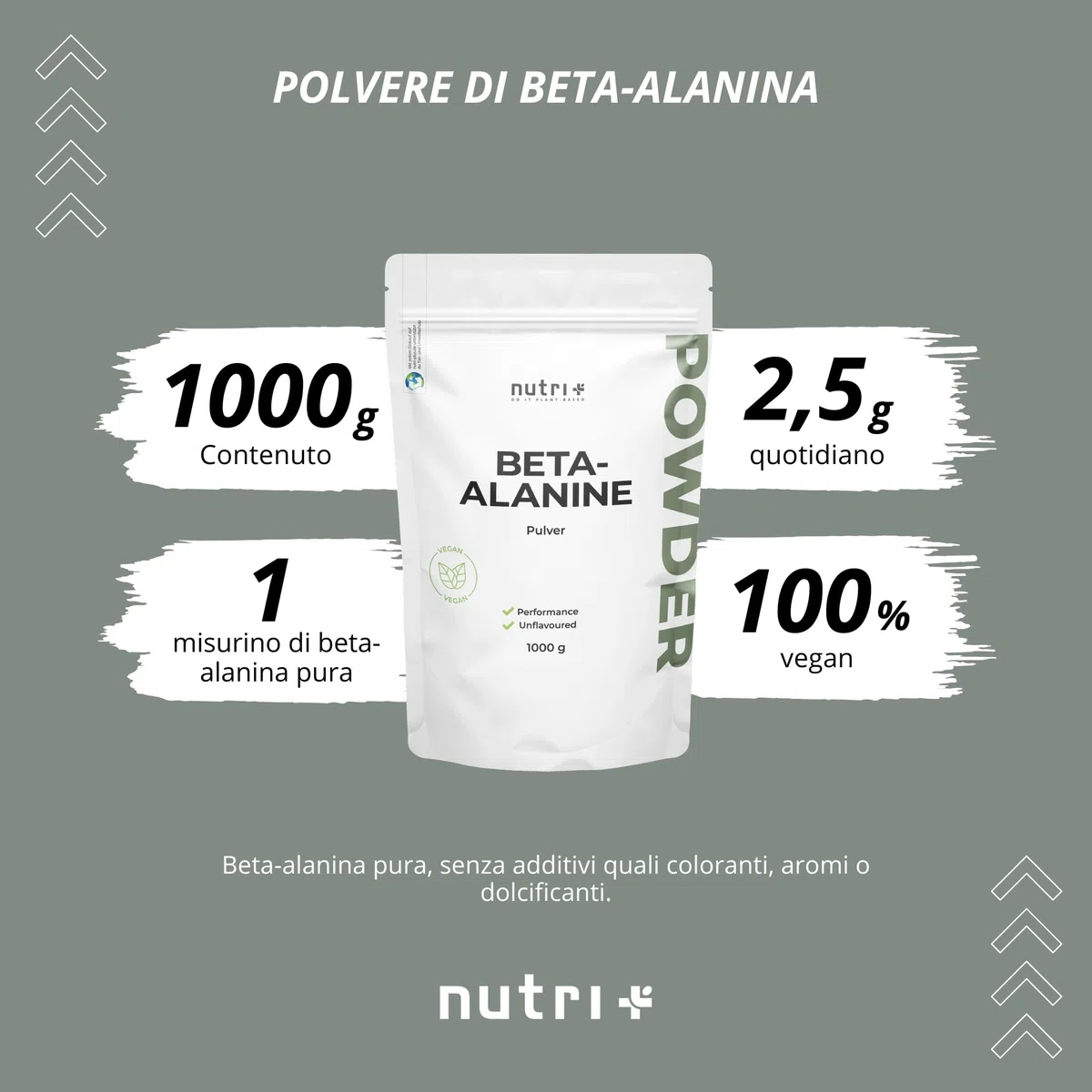 Nutri + Beta Alanina in Polvere 1 kg - vegana pura ad alto Dosaggio e senza Additivi - Booster pre-Allenamento - ß Alanine vegan Powder - Energizzante Sport 1000 g