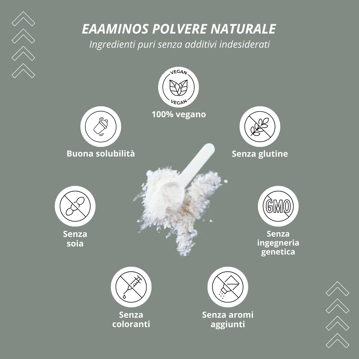 EAA polvere neutro 500 g - Dose elevata - EAA istantanei naturale senza dolcificanti, additivi e aromi artificiali - Aminoacidi essenziali - Aminoacidi essenziali vegani