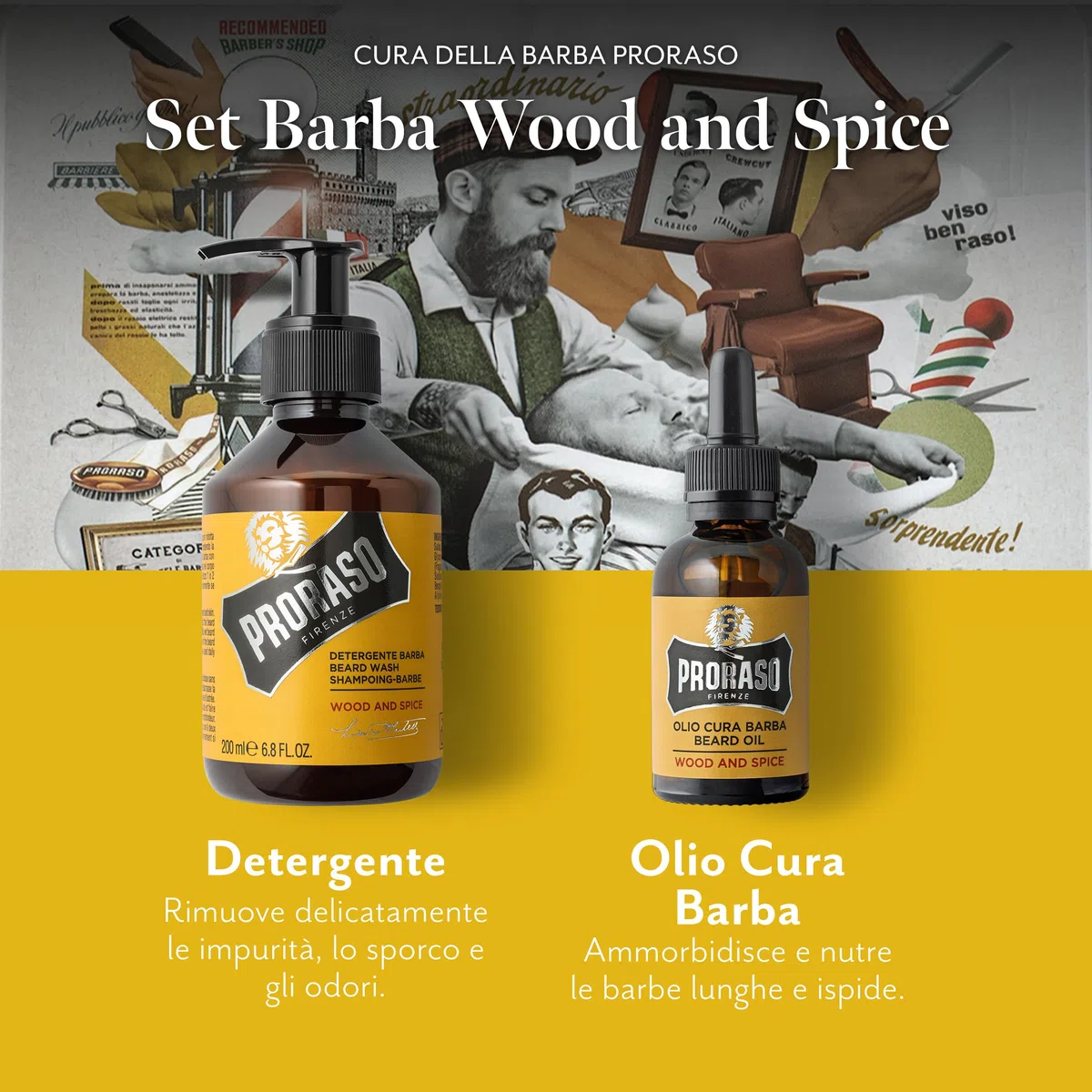 Proraso Set per Cura della Barba Lunga Wood and Spice, Set con Detergente Barba 200 ml e Olio Barba 30 ml dalla fragranza speziata e legnosa, Made in Italy