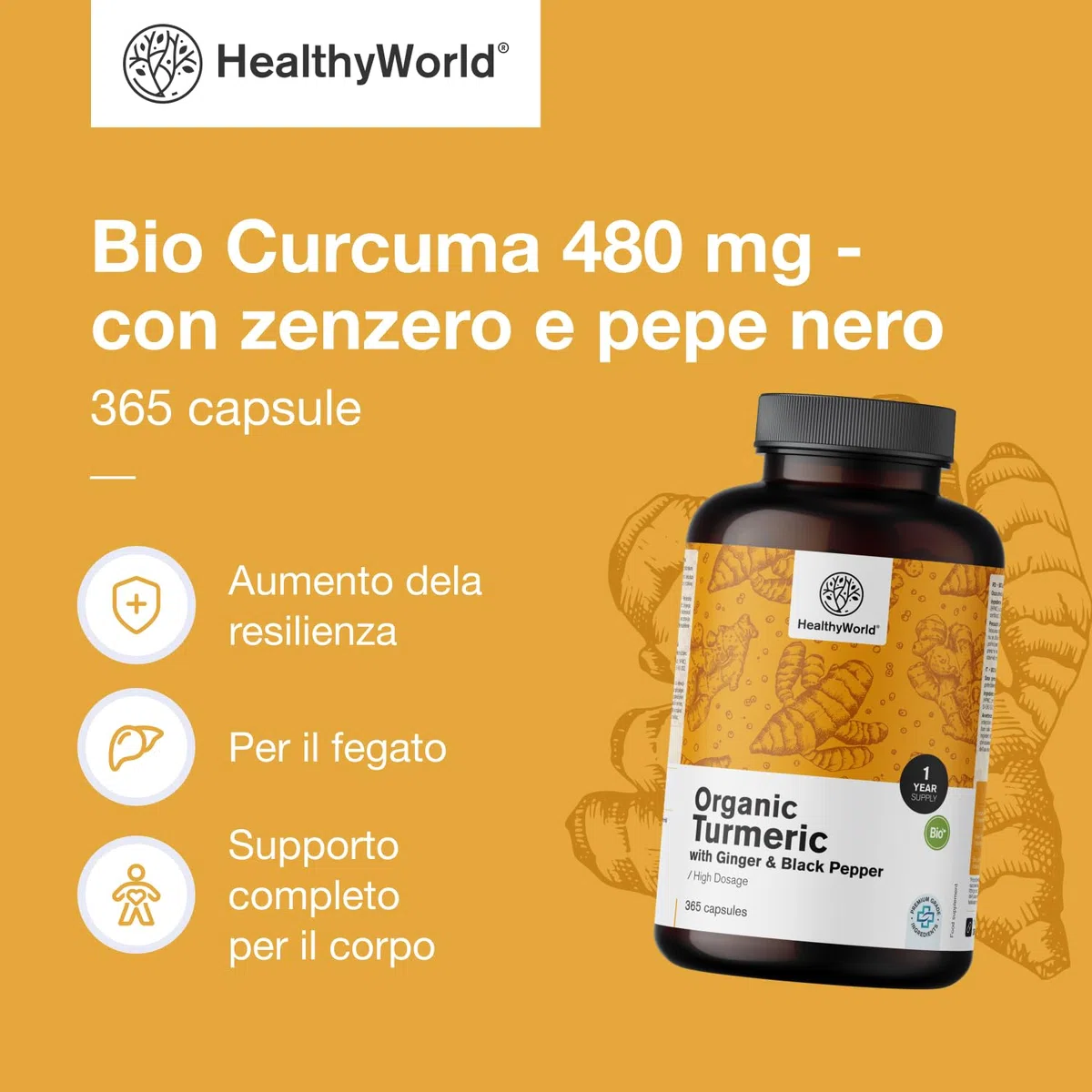 HealthyWorld BIO Curcuma 480 mg con Zenzero e Pepe Nero - 365 Capsule Vegetali - 1-anno di Fornitura - Per il sostegno delle Difese Immunitarie, del Fegato, delle Vie Respiratorie e del Cuore
