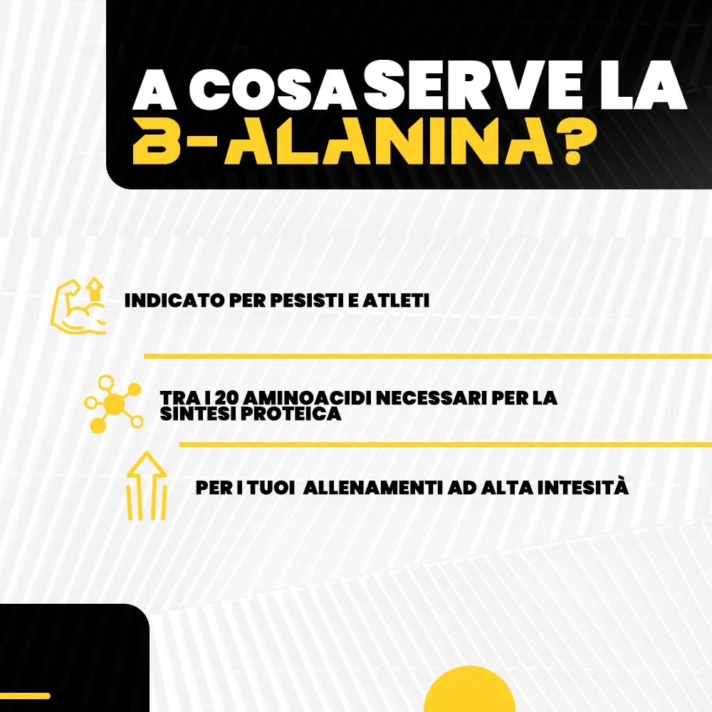 Beta Alanina 240 compresse da 1000mg | Integratore alimentare a base di B-Alanina con Vitamina B1, B6 ed E. Potente post workout per recupero muscolare T-Rex Integratori (120 Unità (Confezione da 2))