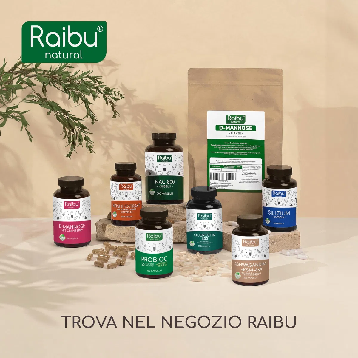 Quercetina 500 mg Pura – 180 Capsule (6 MESI di Fornitura) I 95% di Contenuto di Quercetina I Estratto di Sophora Japonica I Integratore di Flavonoidi I Testato in Laboratorio e Vegano, Raibu