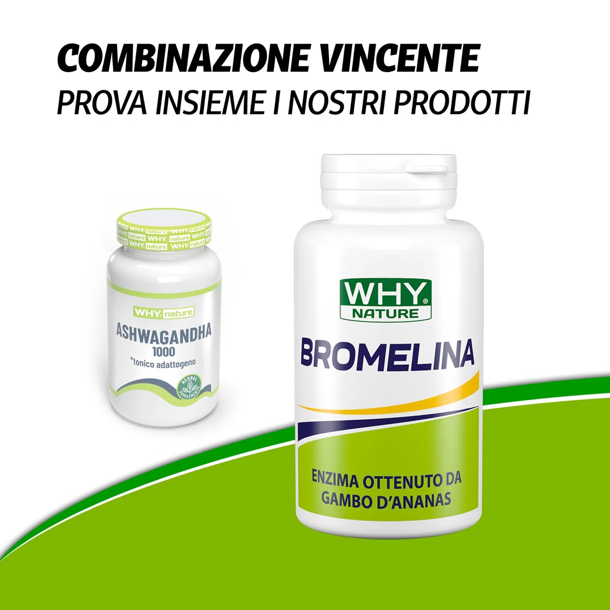 WHY NATURE ASHWAGANDHA 1000 - IntegratorI Alimentari di Ashwagandha KSM-66 - Integratore Nootropico - Senza Glutine - 60 cpr