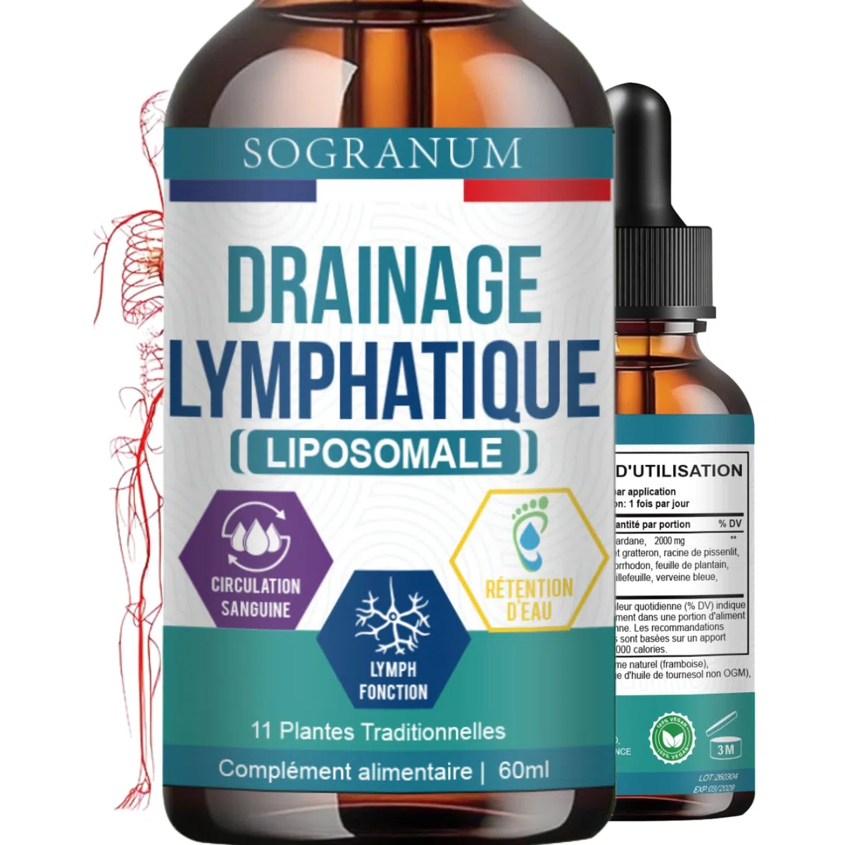 Drenaggio linfatico liposomiale | Circolazione sanguigna, flebite, pressione sanguigna | Detox con echinacea | Assorbimento del 98% da parte dell'organismo | 60 ml